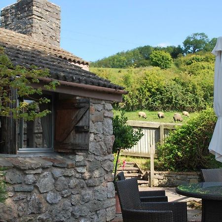 Fenny Castle Vineyard Cottage Wookey Exterior foto