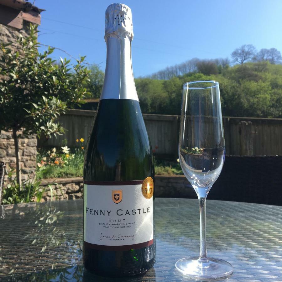 Fenny Castle Vineyard Cottage Wookey Exterior foto