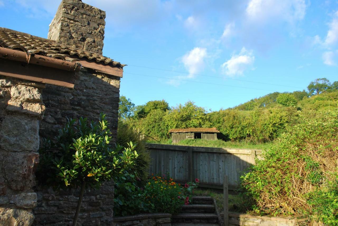 Fenny Castle Vineyard Cottage Wookey Exterior foto