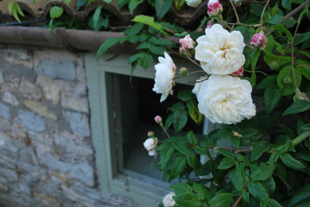 Fenny Castle Vineyard Cottage Wookey Exterior foto